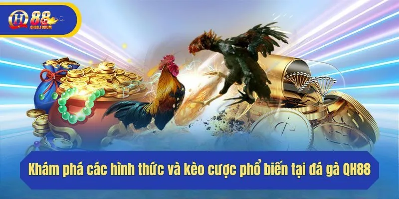 Các hình thức đá gà QH88 nổi bật nhất
